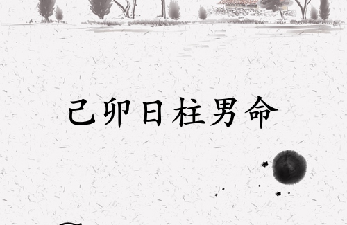 己卯日柱男命運詳解