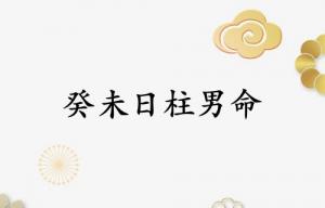 癸未日柱男命運(yùn)詳解