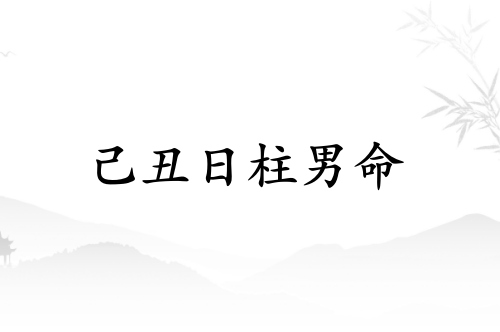 己丑日柱男命運詳解
