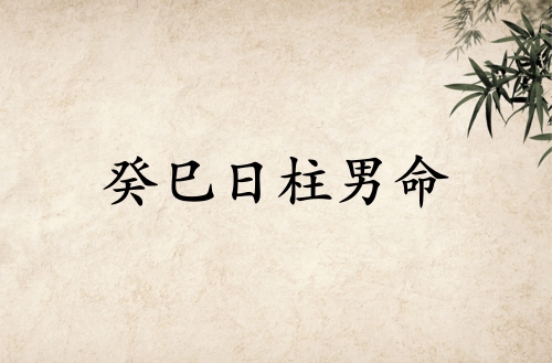 癸巳日柱男命運詳解