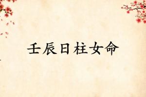壬辰日柱女命運詳解
