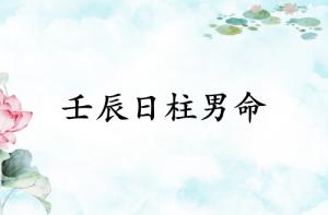 壬辰日柱男命運詳解