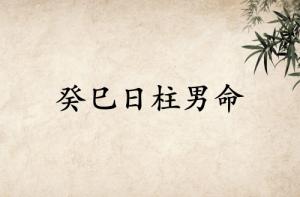 癸巳日柱男命運詳解