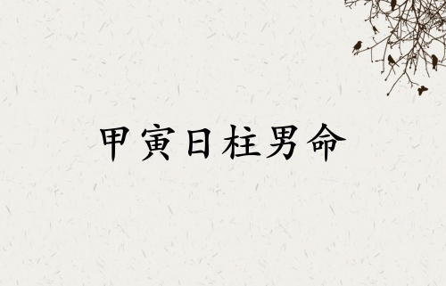 甲寅日柱男命運詳解