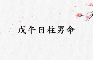 戊午日柱男命運(yùn)詳解