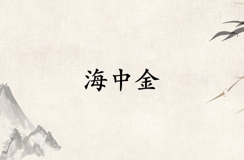海中金是弱金還是強金