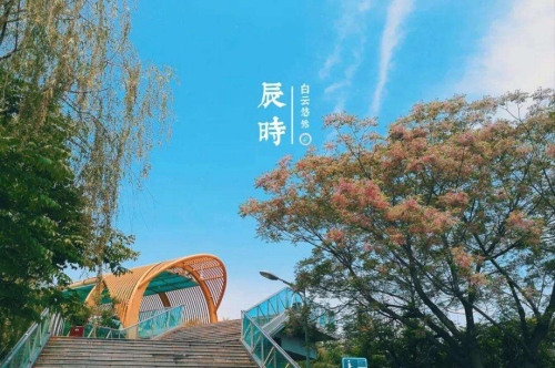 辰時(shí)最忌諱三個(gè)屬相