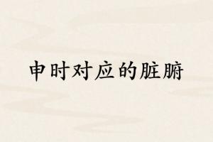 申時(shí)對(duì)應(yīng)哪個(gè)臟腑